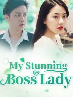 My Stunning Boss Lady poster
