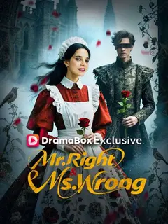 Mr.Right & Ms.Wrong poster