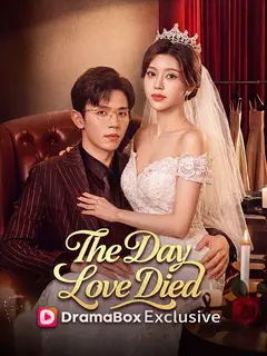 The Day Love Died poster