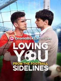 Loving You From the Football Sidelines poster