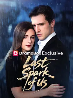 The Last Spark of Us poster