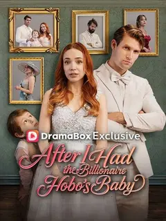 After I Had the Billionaire Hobo's Baby poster