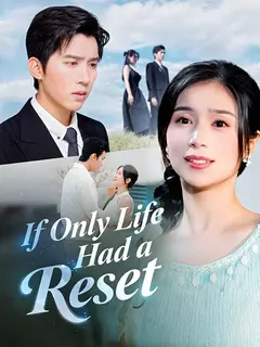 If Only Life Had a Reset poster
