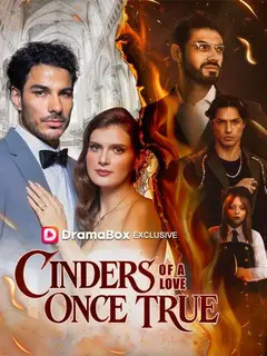Cinders of a Love Once True poster