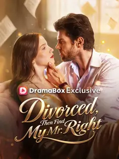 Divorced, Then Find My Mr. Right poster