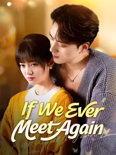 If We Ever Meet Again poster