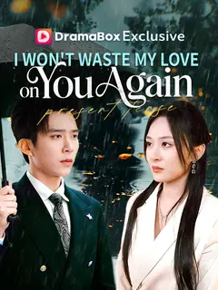 I Won't Waste My Love on You Again poster
