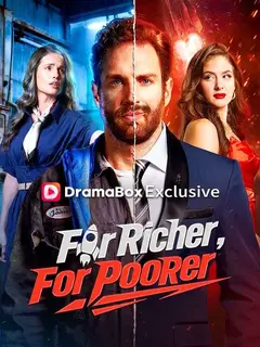 For Richer, For Poorer poster