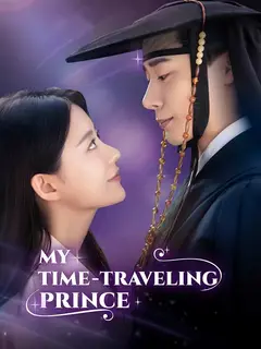 My Time-Traveling Prince poster