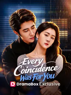 Every Coincidence Was For You poster