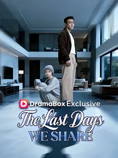 The Last Days We Share poster