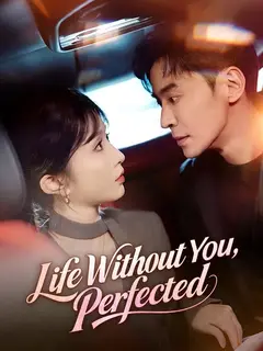 Life Without You, Perfected poster