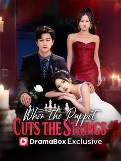 When the Puppet Cuts the Strings poster