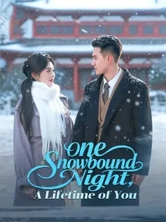 One Snowbound Night, A Lifetime of You poster