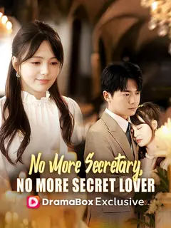 No More Secretary, No More Secret Lover poster