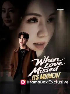 When Love Missed Its Moment poster