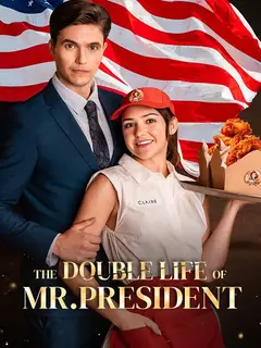 The Double Life of Mr President poster