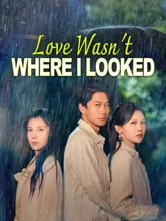 Love Wasn't Where I Looked poster