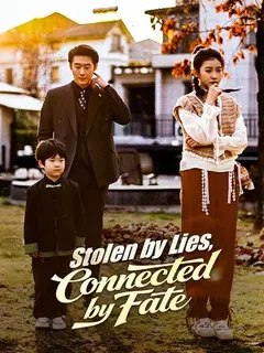 Stolen by Lies, Connected by Fate poster