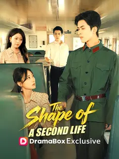 The Shape of a Second Life poster