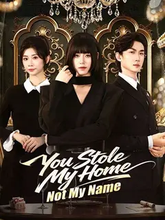 You Stole My Home, Not My Name poster