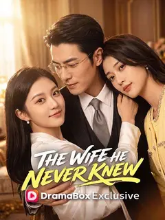The Wife He Never Knew poster
