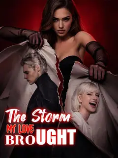 The Storm My Love Brought poster