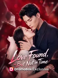 Love Found, But Not in Time poster