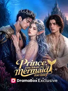 Prince, You Loved the Mermaid Too Late poster