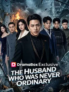 The Husband Who Was Never Ordinary poster