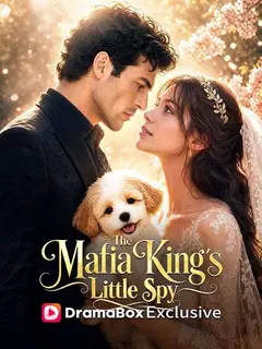 The Mafia King's Little Spy poster