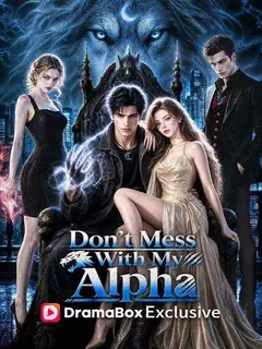 Don't Mess With My Alpha poster