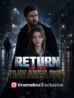 Return of the Bay Area Don poster