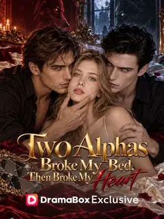 Two Alpha Broke My Bed, Then Broke My Heart poster
