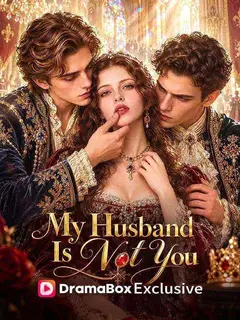 My Husband Is Not You poster