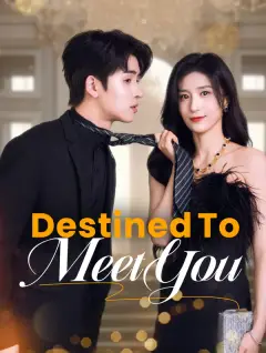 Destined to Meet You poster