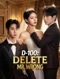 D-100: Delete Mr. Wrong poster