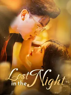 Lost in the Night poster