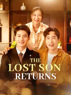 The Lost Son Returns poster