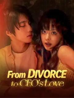 From Divorce to CEO's Love poster