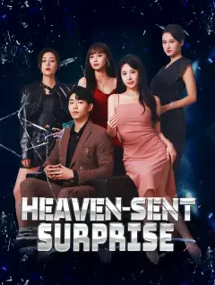 Heaven-Sent Surprise poster
