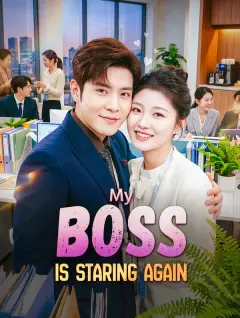 My Boss Is Staring Again poster