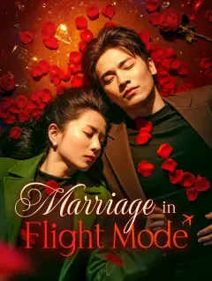 Marriage in Flight Mode poster