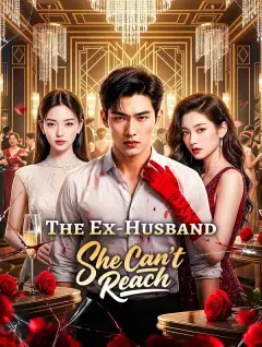 The Ex-Husband She Can't Reach poster