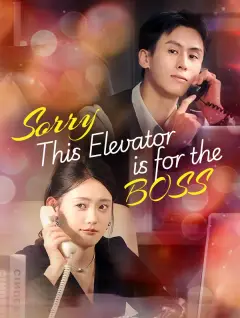 Sorry, This Elevator is for the Boss poster