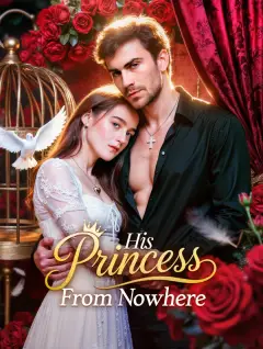 His Princess From Nowhere poster
