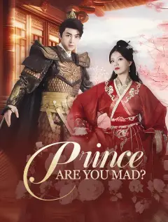 Prince, Are You Mad? poster