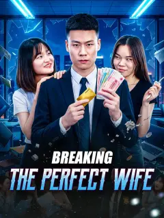 Breaking the Perfect Wife poster
