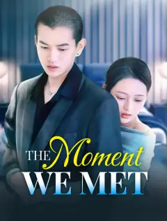 The Moment We Met poster