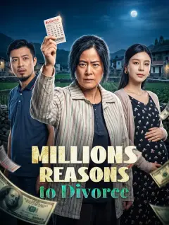 Millions Reasons to Divorce poster